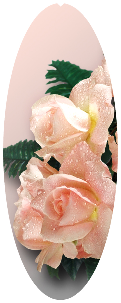 DNSA18-062 Bouquet Of Roses Peach